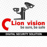 Lion Vision